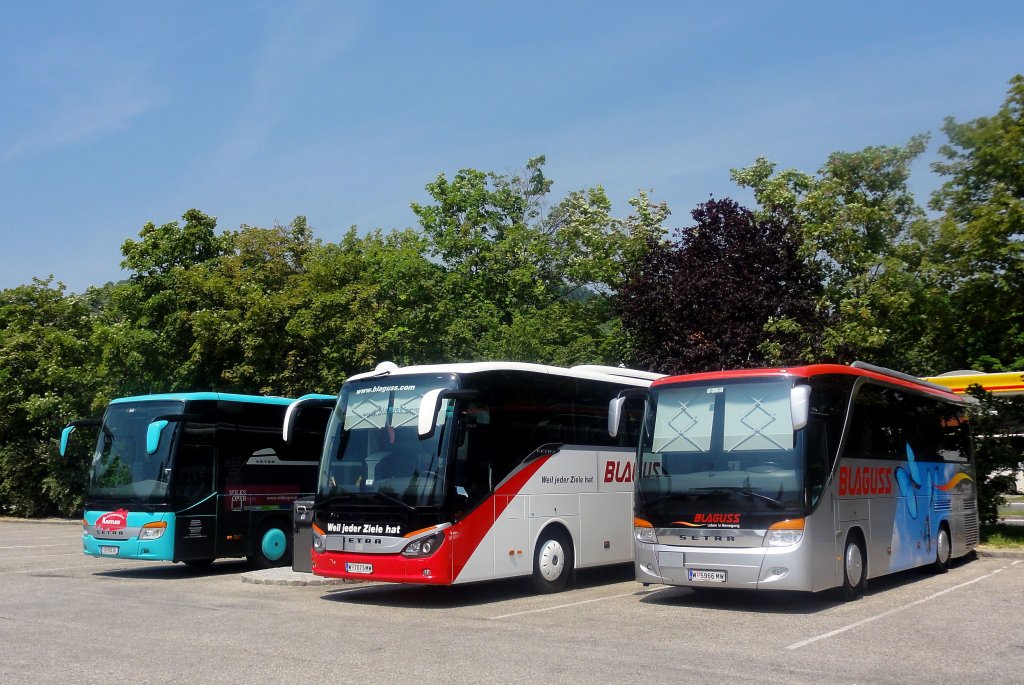  Starke  SETRAS:re Blaguss 411 HD,dann der neue 515 HD von Blaguss und links der Setra 415 GT-HD von Kastler/sterreich,Krems am 19.6.2013.