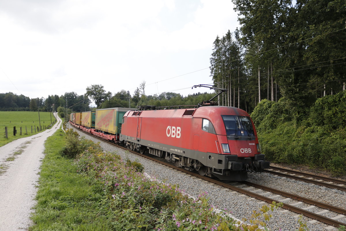 1016 002 mit dem  Notheggerzug  am 5. September 2018 bei Grabenst�tt.