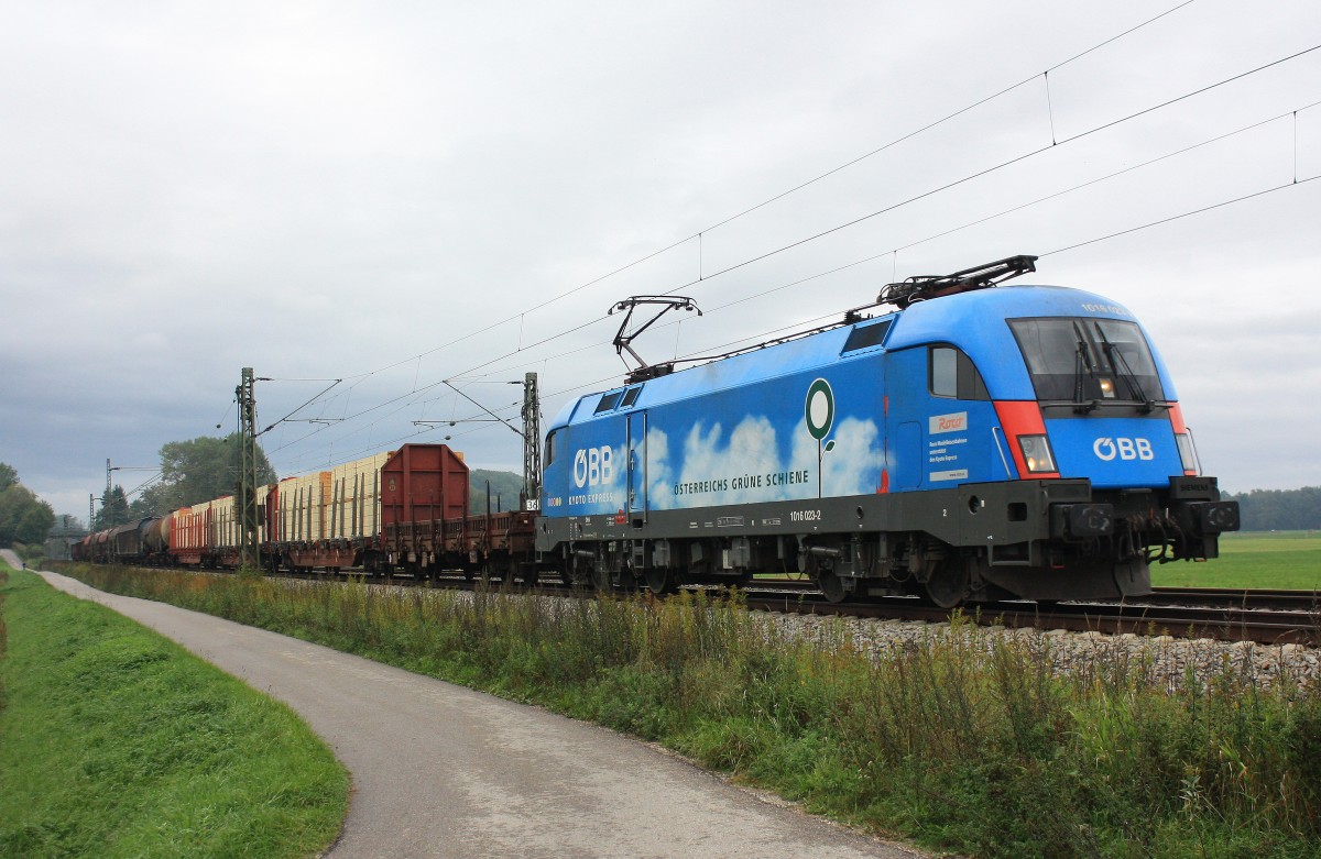 1016 023-2  �BB Gr�ne Schiene  war am 5. Oktober 2013 mit einem G�terzug von M�nchen/Nord nach Bischofshofen unterwegs. Aufgenommen an unserer  Standardfotostelle  kurz vor �bersee.