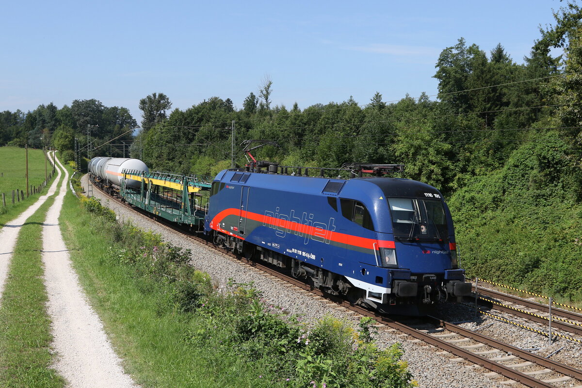 1116 195 mit einem gemischten Gterzug aus Mnchen kommend am 17. August 2023 bei Sossau.