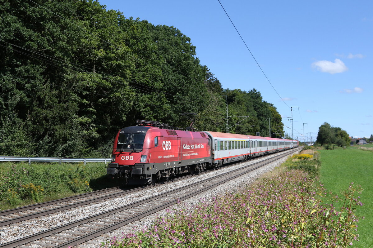 1116 199  N�chster Halt: Job mit Sinn  war mit einem  EC  am 6. September 2025 bei Hufschlag auf dem Weg nach M�nchen.