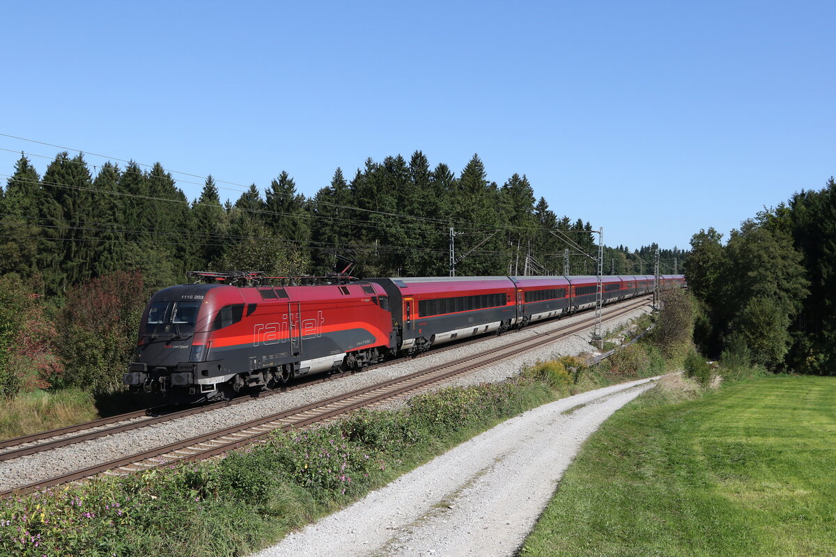 1116 203 aus Salzburg kommend am 25. September 2021 bei Grabenst�tt.