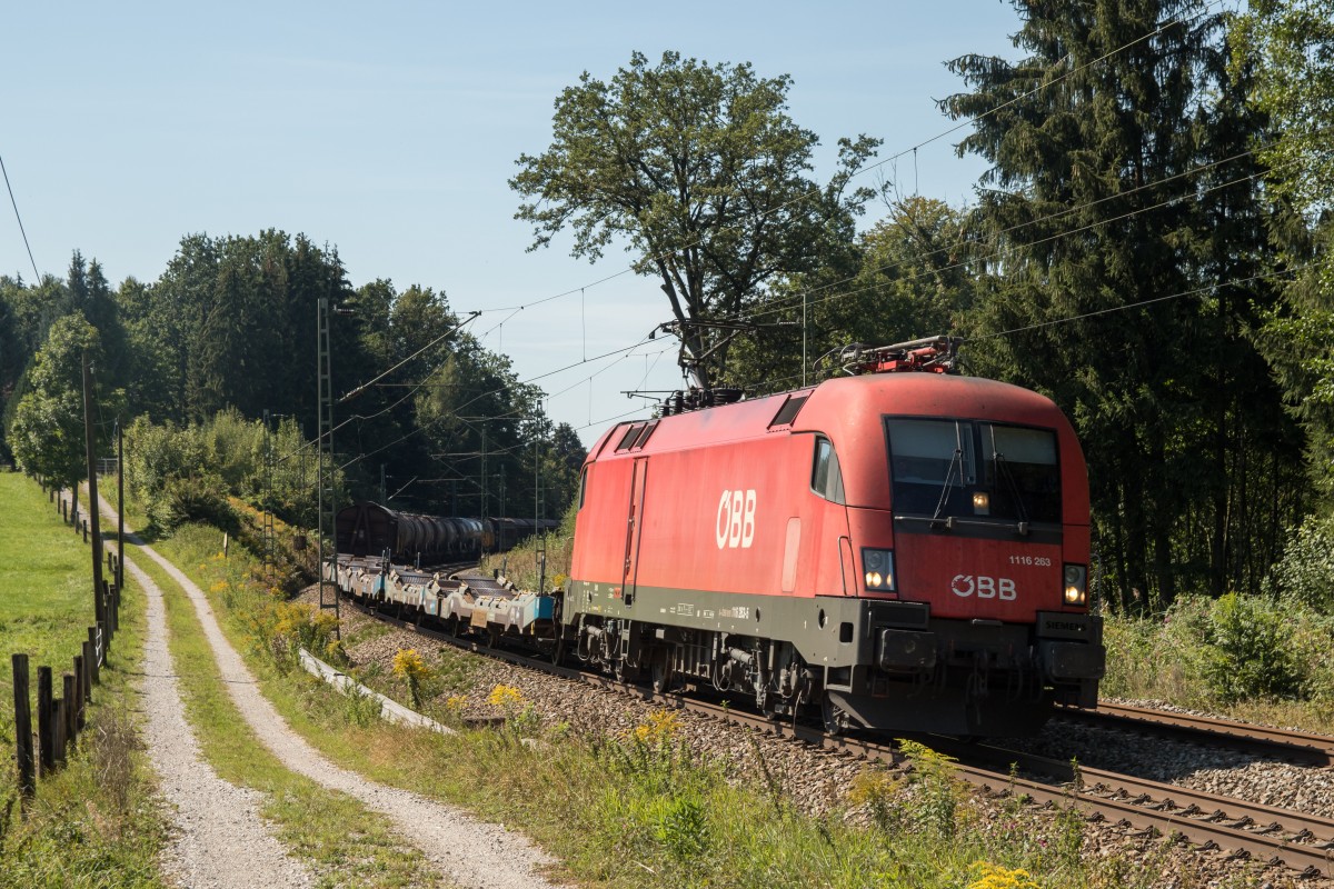 1116 263 mit einem gemischten Gterzug am 12. September 2015 bei Grabensttt.