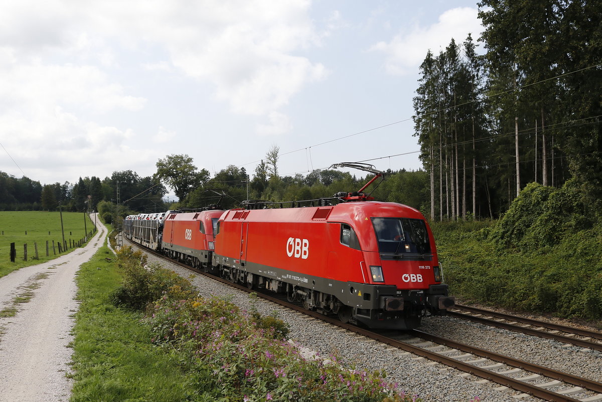 1116 273 und 1116 272 waren am 5. September 2018 bei Grabensttt in Richtung Salzburg unterwegs.