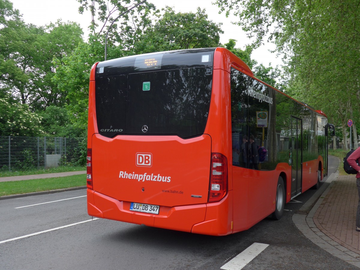 (150'137) - Rheinpfalzbus, Ludwigshafen - LU-DB 347 - Mercedes am 26. April 2014 in Speyer, Technik-Museum