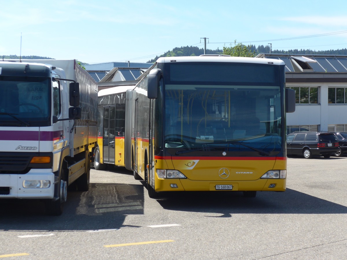 (160'190) - Eurobus, Arbon - Nr. 13/TG 168'067 - Mercedes am 8. Mai 2015 in Wil, Larag