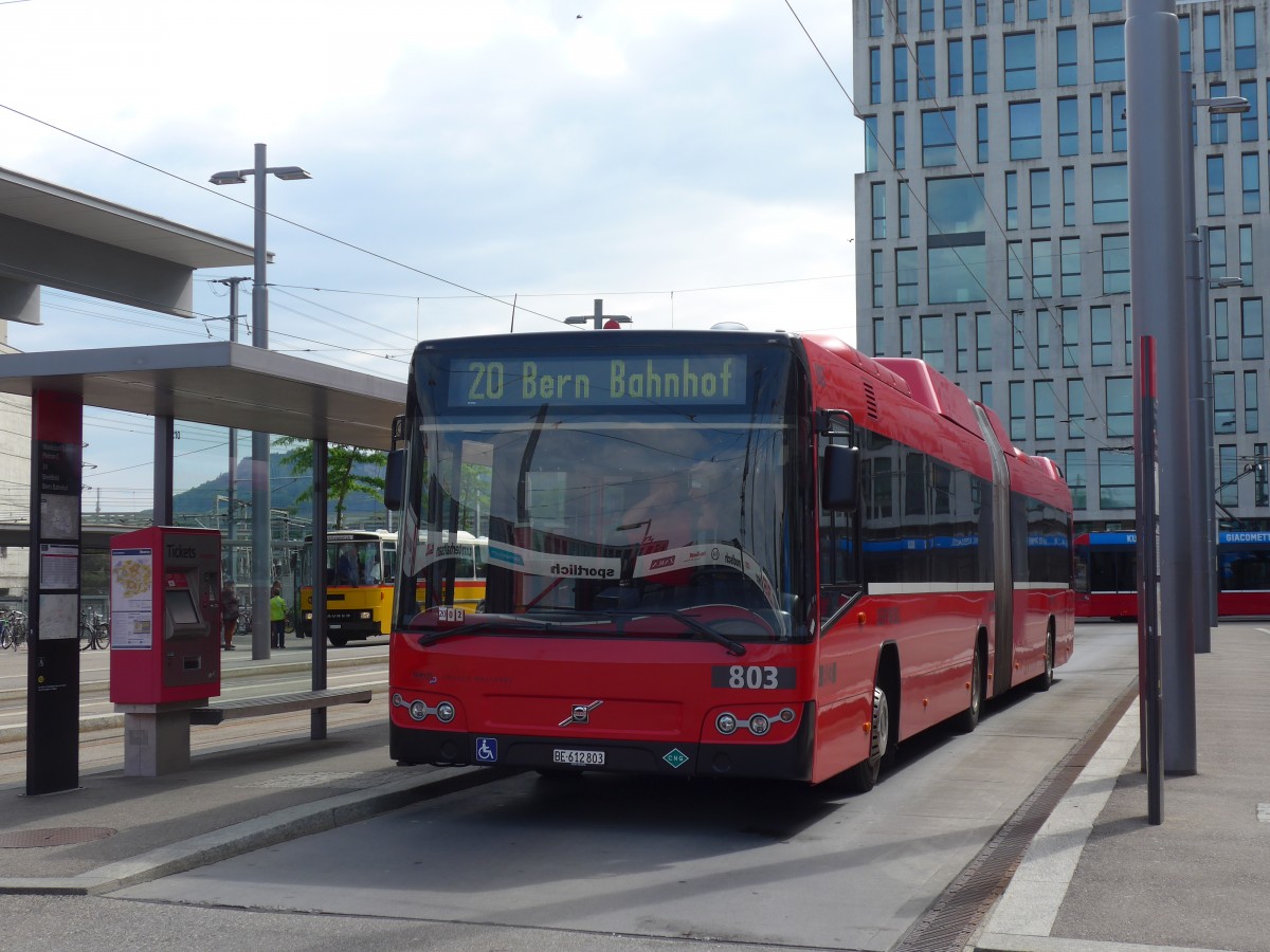(161'447) - Bernmobil, Bern - Nr. 803/BE 612'803 - Volvo am 30. Mai 2015 in Bern, Wankdorf