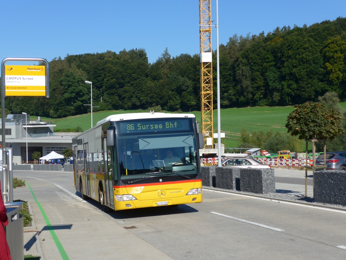 (164'252) - Hfliger, Sursee - Nr. 4/LU 197'104 - Mercedes (ex PostAuto Nordschweiz Nr. 4) am 29. August 2015 in Oberkirch, CAMPUS Sursee