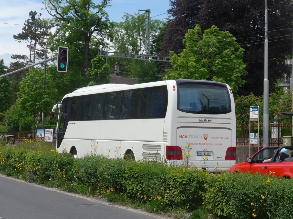 (171'359) - Aus Polen: Havi Travel, Koscielec - Nr. 393/PKL 13'111 - MAN am 22. Mai 2016 in Luzern, Verkehrshaus