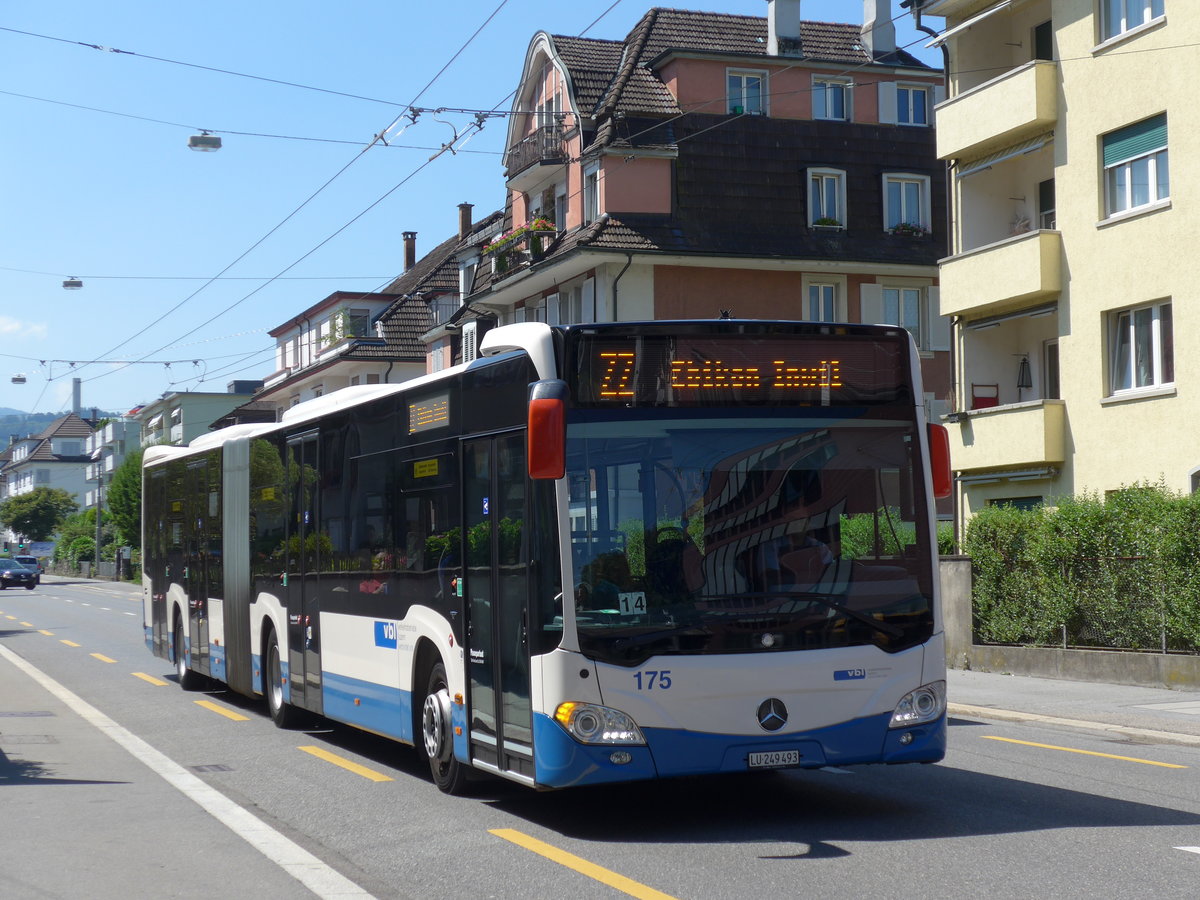 (173'776) - VBL Luzern - Nr. 175/LU 249'493 - Mercedes am 8. August 2016 in Luzern, Maihof