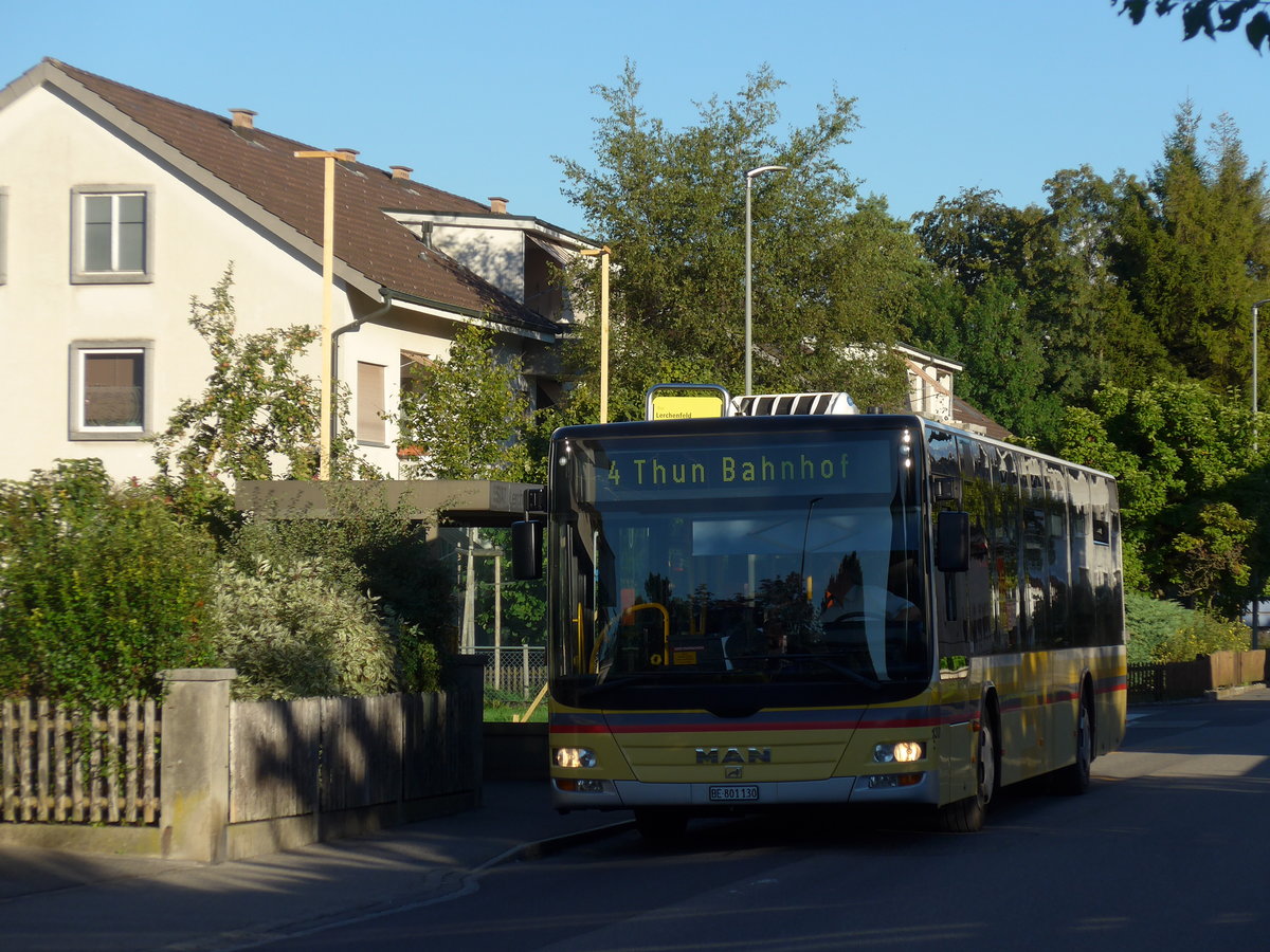 (174'276) - STI Thun - Nr. 130/BE 801'130 - MAN am 23. August 2016 in Thun-Lerchenfeld, Lerchenfeld