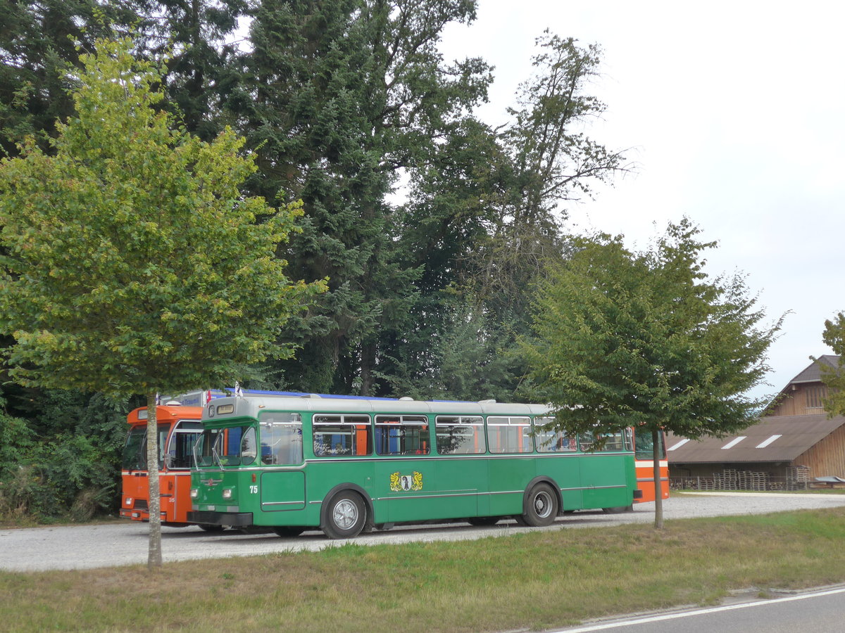 (174'475) - BVB Basel (RWB) - Nr. 75/BE 530'697 - FBW/FHS am 4. September 2016 in Hindelbank