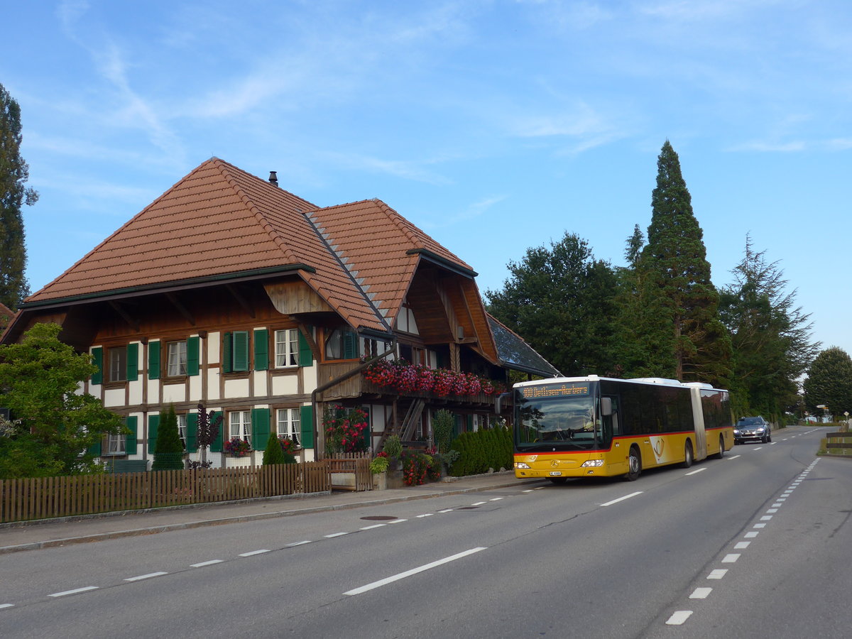 (174'915) - Steiner, Ortschwaben - Nr. 3/BE 83'880 - Mercedes am 11. September 2016 in Murzelen, Dorf
