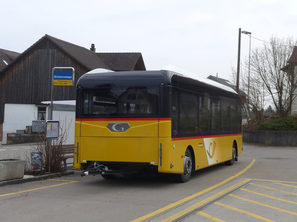 (178'478) - Moser, Flaach - Nr. 290/ZH 812'865 - Gppel Personenanhnger am 10. Februar 2017 in Altikon, Brckenwaage