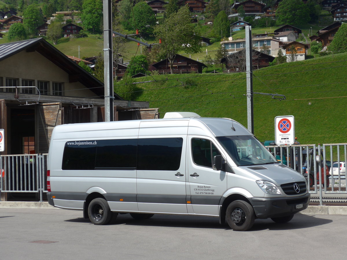 (180'748) - Bojan, Glattbrugg - ZH 583'672 - Mercedes am 24. Mai 2017 in Grindelwald, Grund