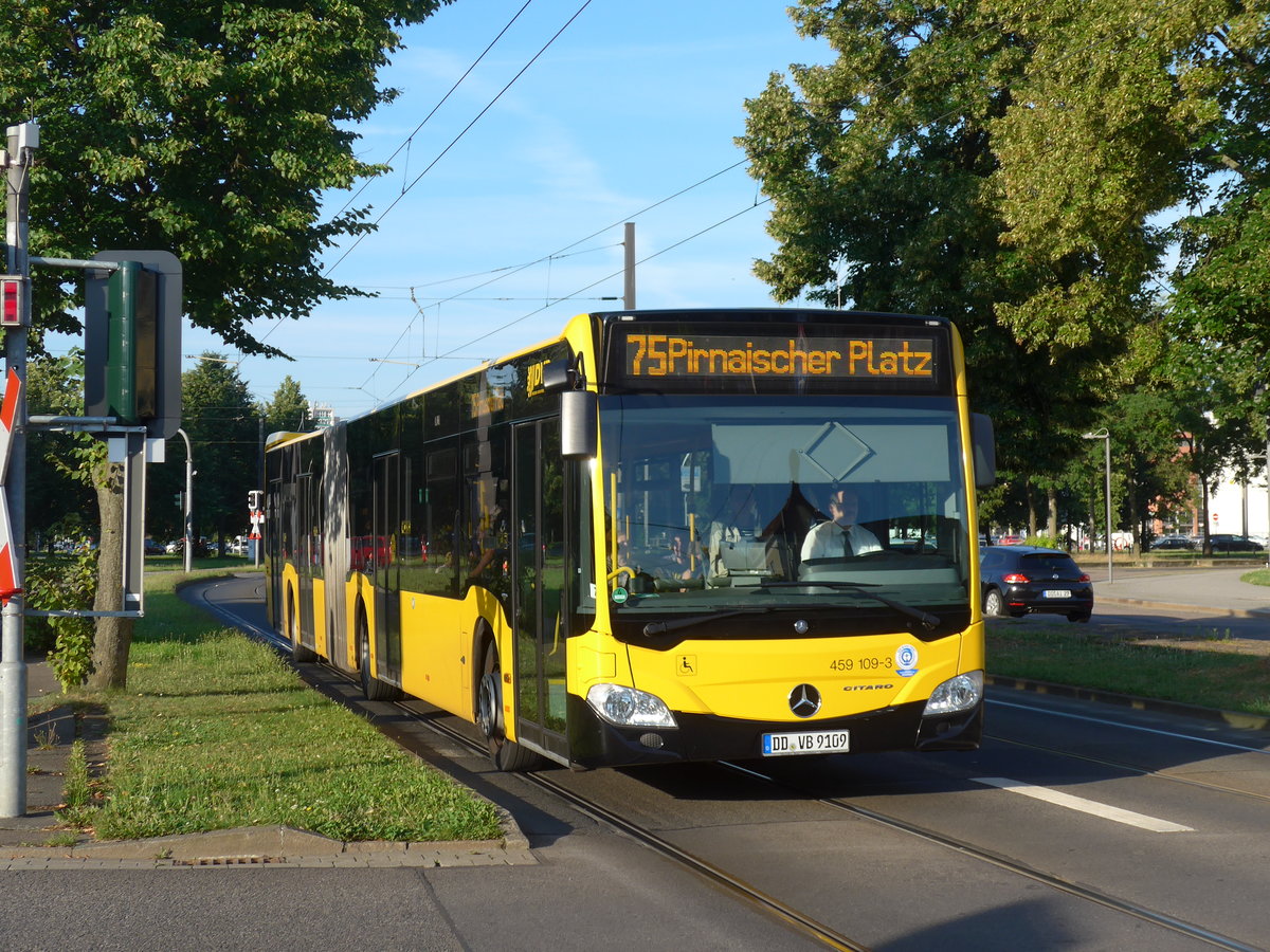 (182'865) - DVB Dresden - Nr. 459'109/DD-VB 9109 - Mercedes am 8. August 2017 in Dresden, Pirnaischer Platz