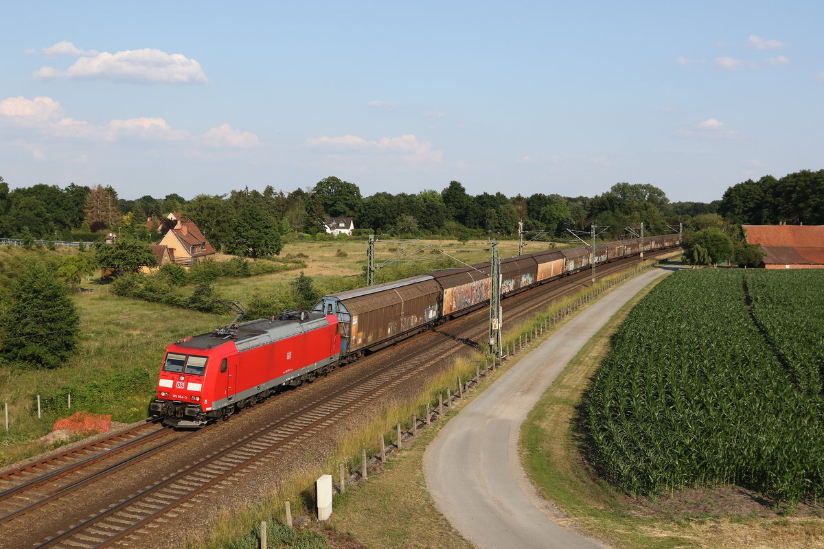 185 064 nordw�rts fahrend am 26. Juni 2020 bei Langwedel/Niedersachsen.