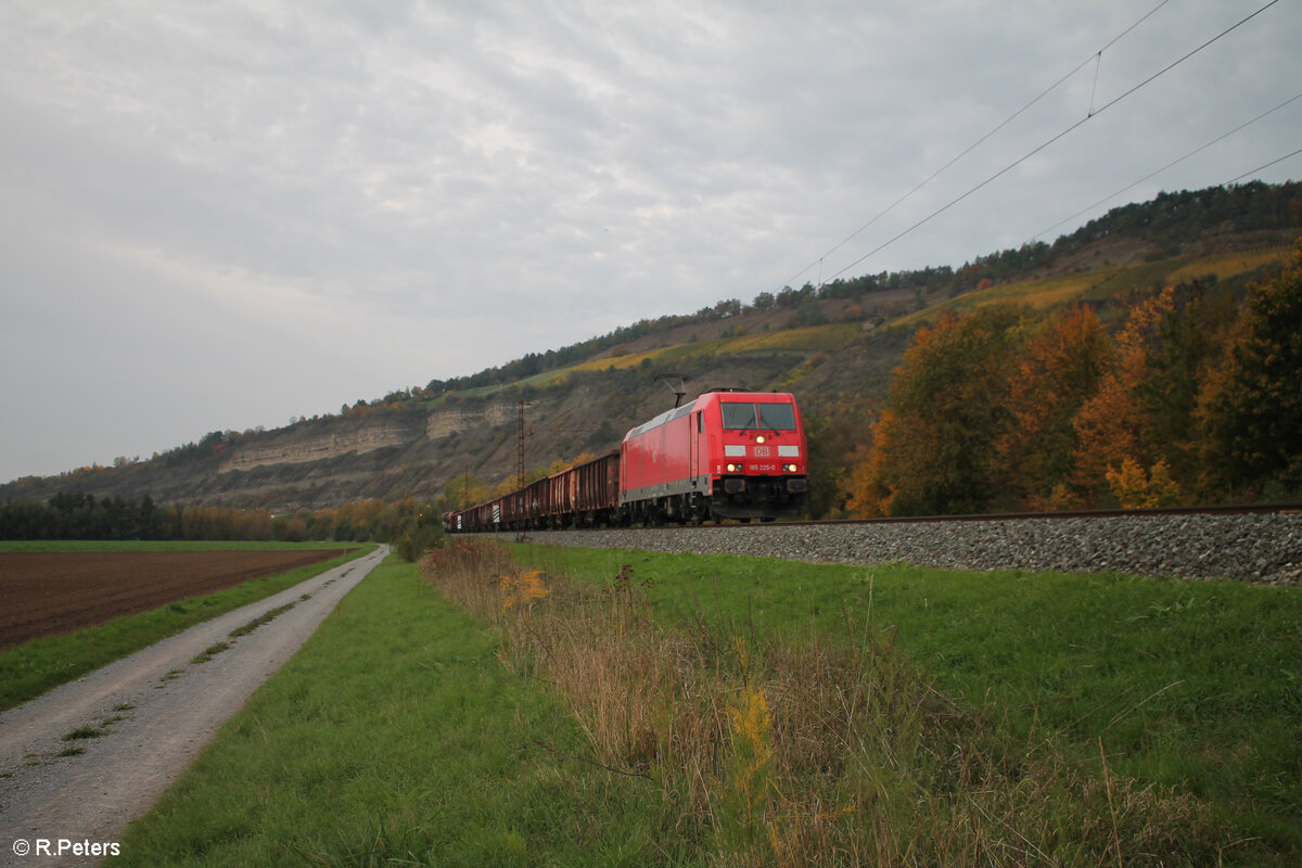 185 225-0 zieht mit einem langen gemischten Güterzug bei Thüngersheim in Richtung Süden. 20.10.24