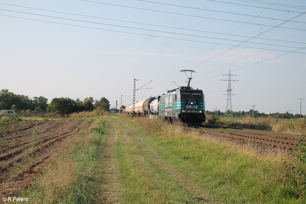 185 255 zieht ein Chemiekesselzug bei Frankenthal in Richtung Norden. 01.09.24