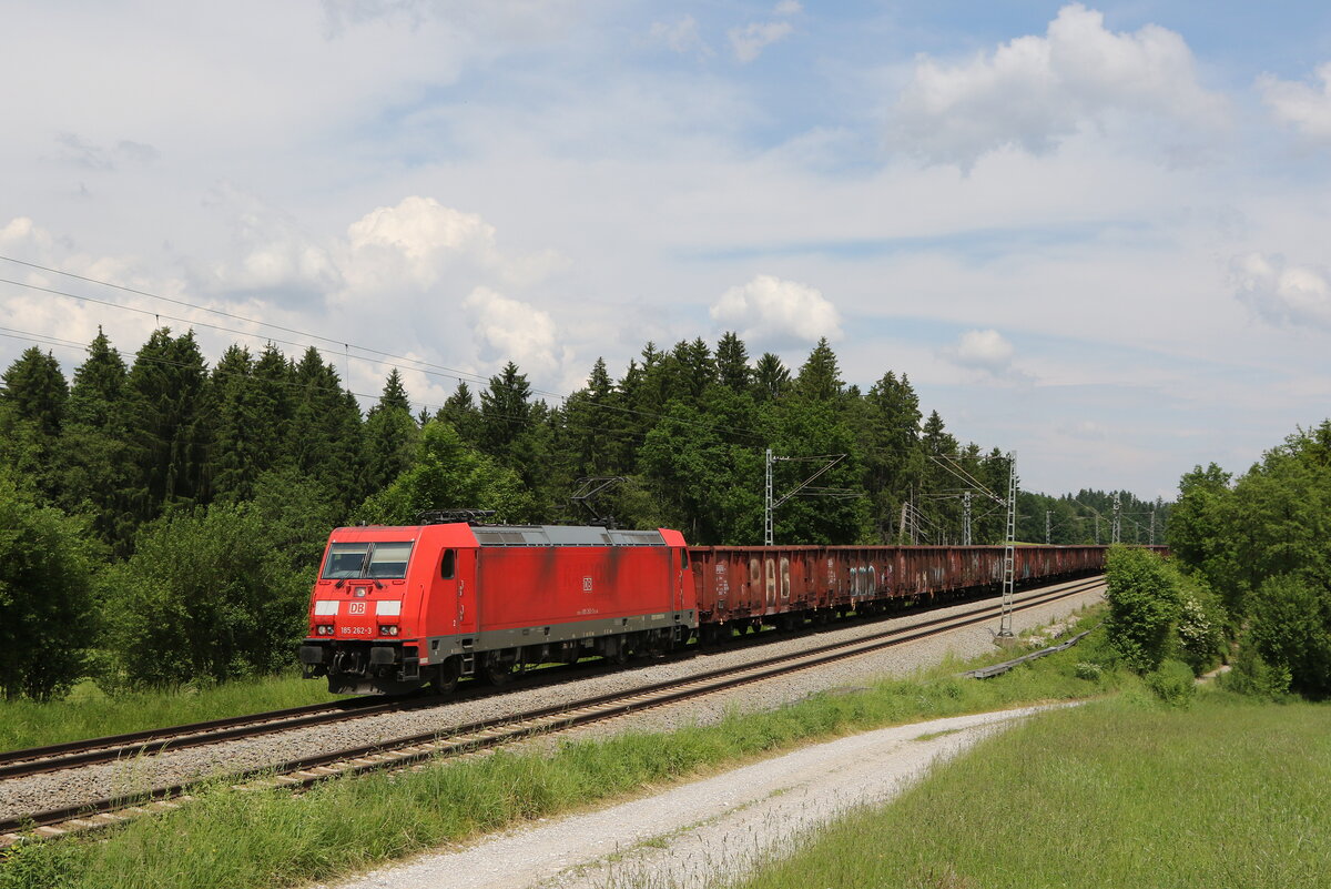 185 262 mit dem Stahlzug aus Freilassing kommend am 8. Juni 2021 bei Grabenst�tt im Chiemgau.