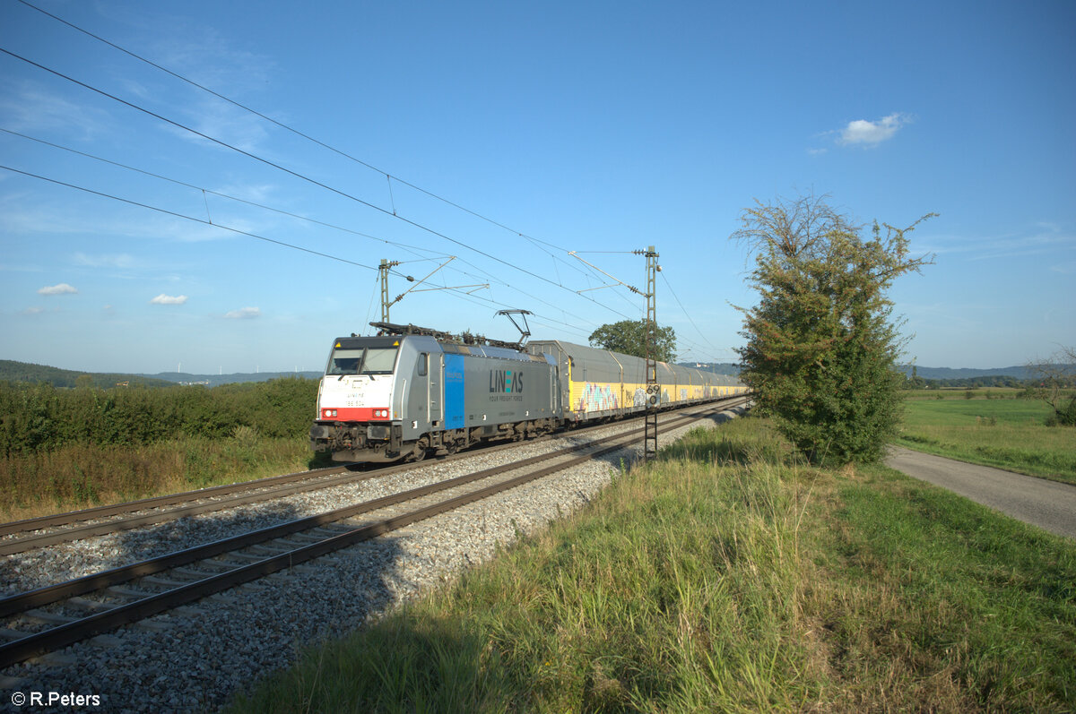 186 504 zieht bei Pölling ein ARS Altmann in Richtung Norden. 28.08.24