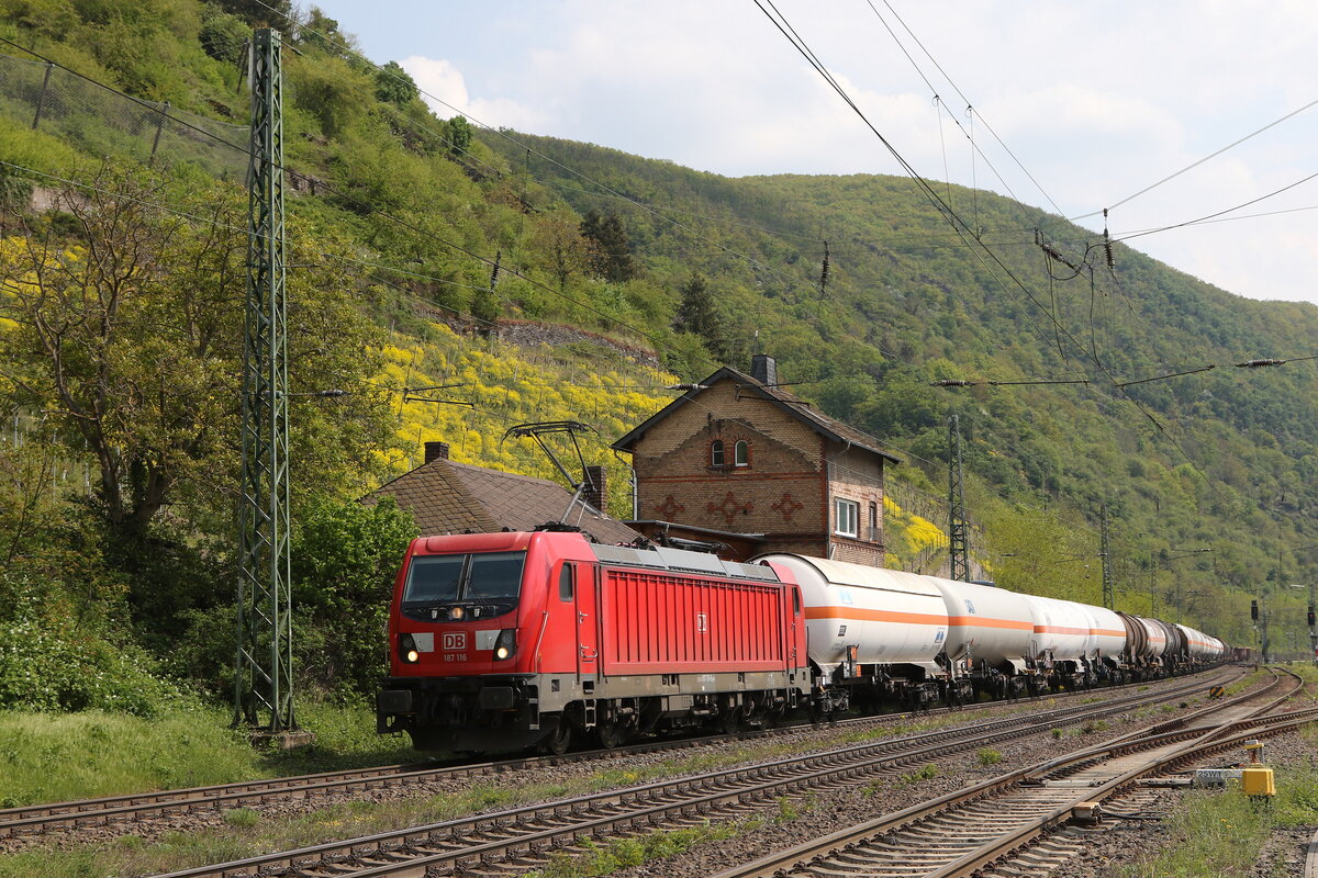 187 116 mit einem gemischten Gterzug aus Bingen kommend am 3. Mai 2022 kurz vor Kaub.