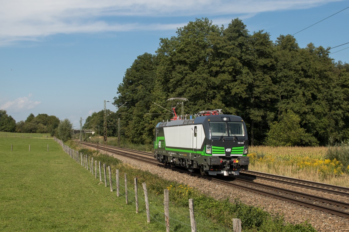 193 236 aus Mnchen kommend am 11. September 2015 bei Vogl.