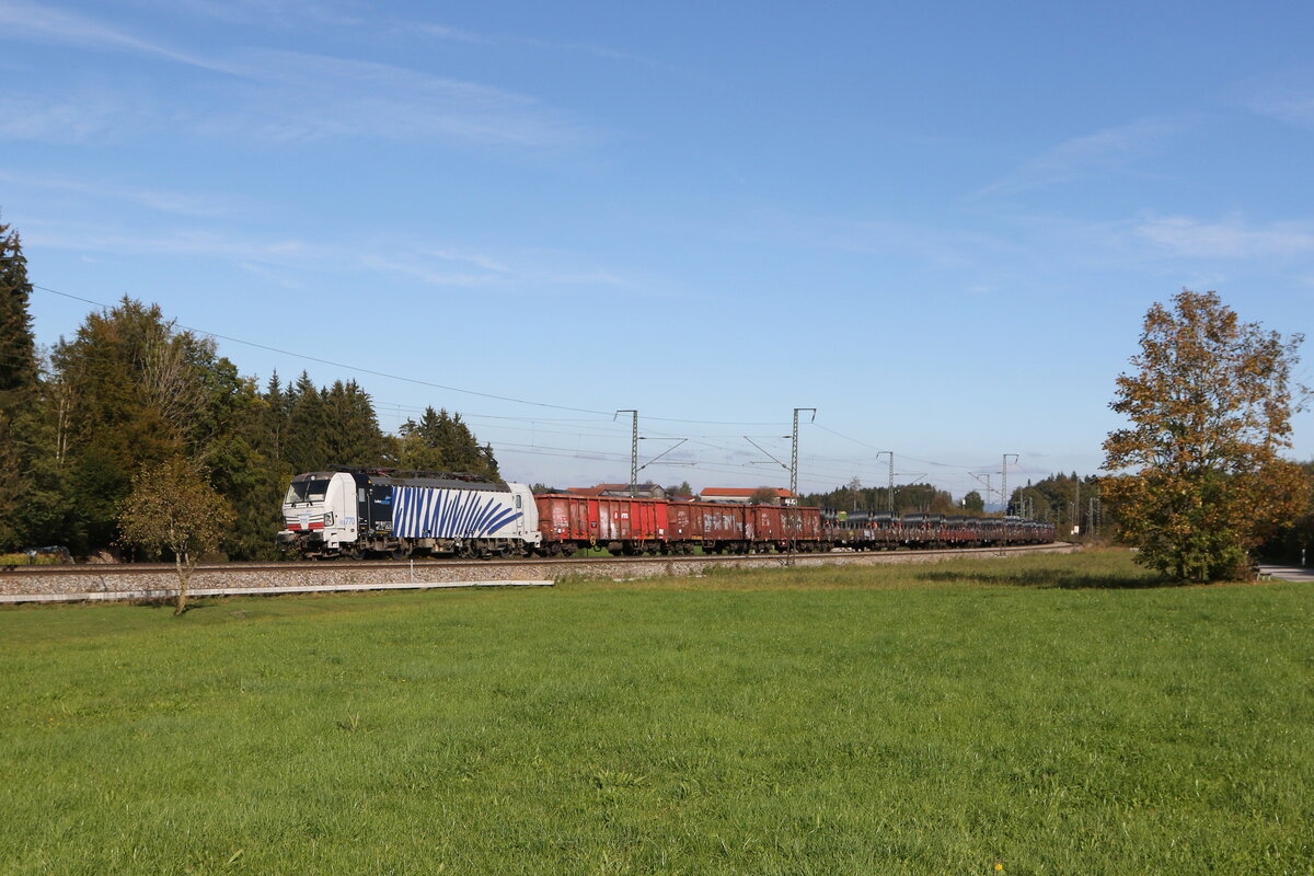 193 770 mit einem Stahlzug aus Freilassing kommend am 6. Oktober 2024 bei Fuchsreut.
