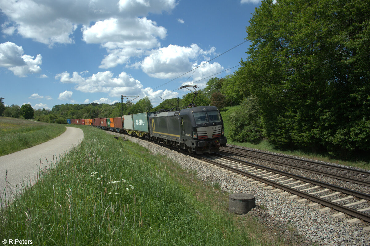 193 877 alias X4E 877 mit einem Containerzug bei P�lling. 14.05.24