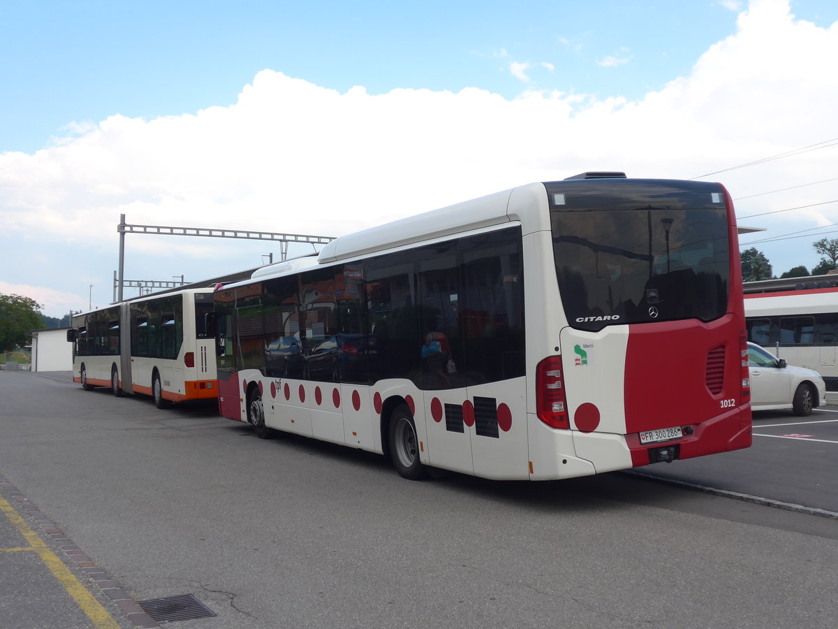 (195'337) - TPF Fribourg - Nr. 1012/FR 300'286 - Mercedes am 31. Juli 2018 beim Bahnhof Grolley