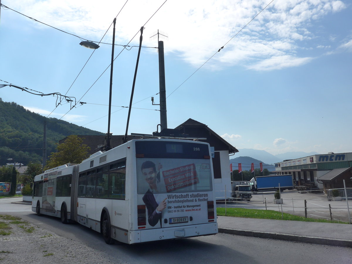 (197'206) - OBUS Salzburg - Nr. 286/S 928 KV - Van Hool Gelenktrolleybus am 13. September 2018 in Mayrwies, Daxluegstrasse