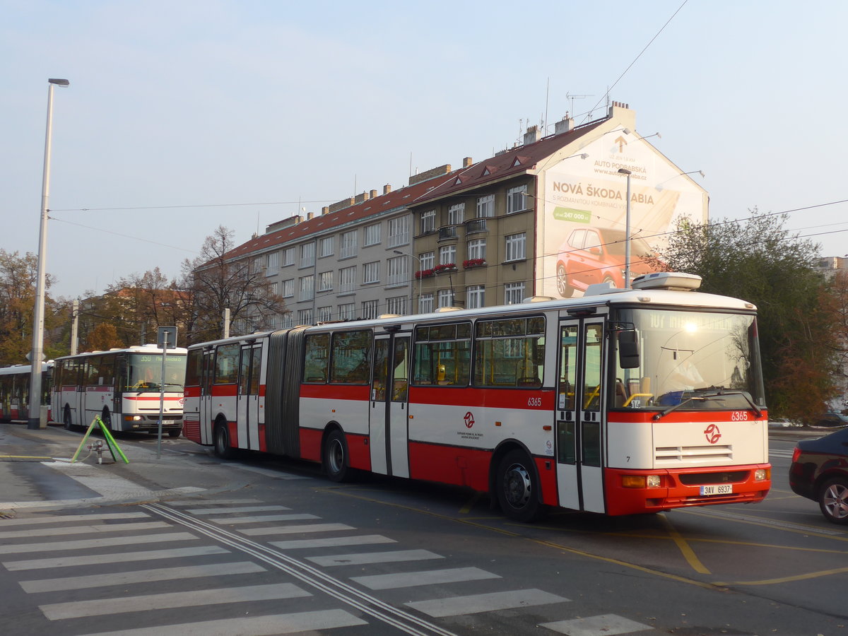 (198'483) - DPP Praha - Nr. 6365/3AV 6937 - Karosa am 19. Oktober 2018 in Praha, Dejvick
