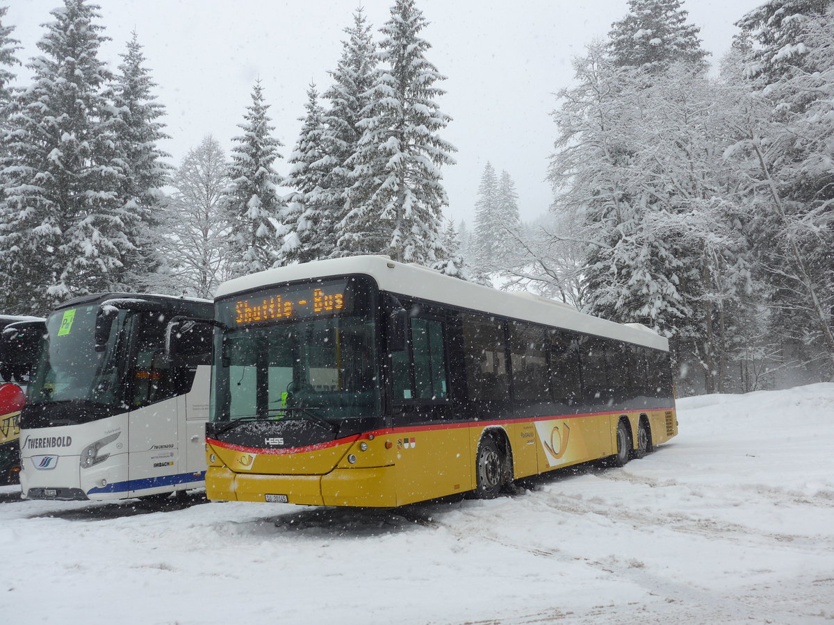 (201'156) - Steiner, Messen - SO 20'145 - Scania/Hess am 13. Januar 2019 in Adelboden, Unter dem Birg
