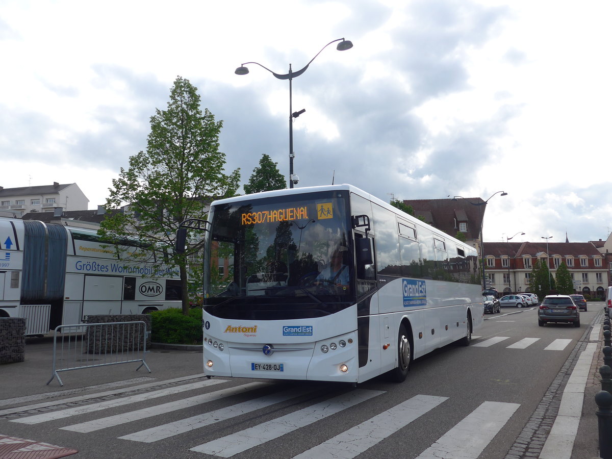 (204'063) - Antoni, Haguenau - EY 428 QJ - Temsa am 26. April 2019 in Haguenau, Parkplatz