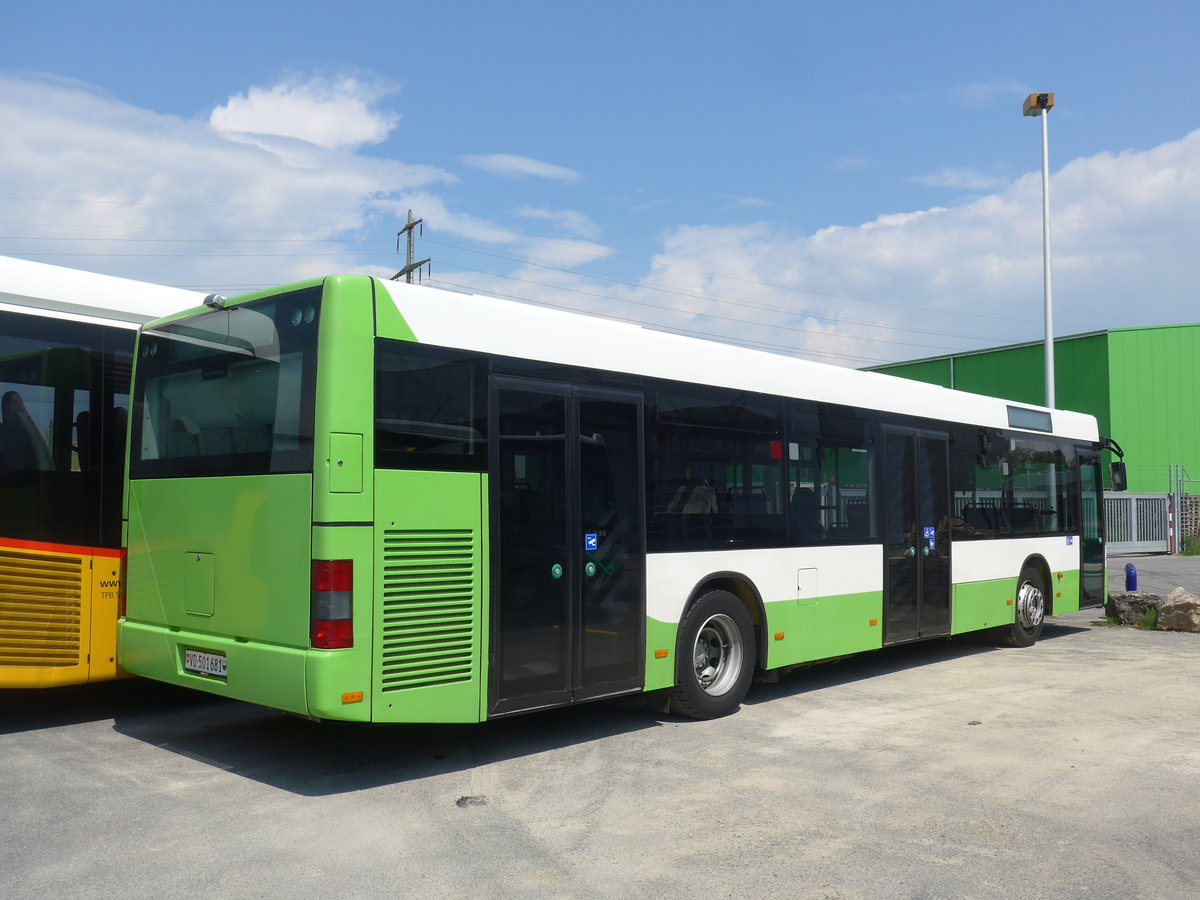 (205'381) - Interbus, Yverdon - VD 501'681 - MAN (ex transN, La Chaux-de-Fonds Nr. 205; ex TN Neuchtel Nr. 205) am 25. Mai 2019 in Kerzers, Interbus