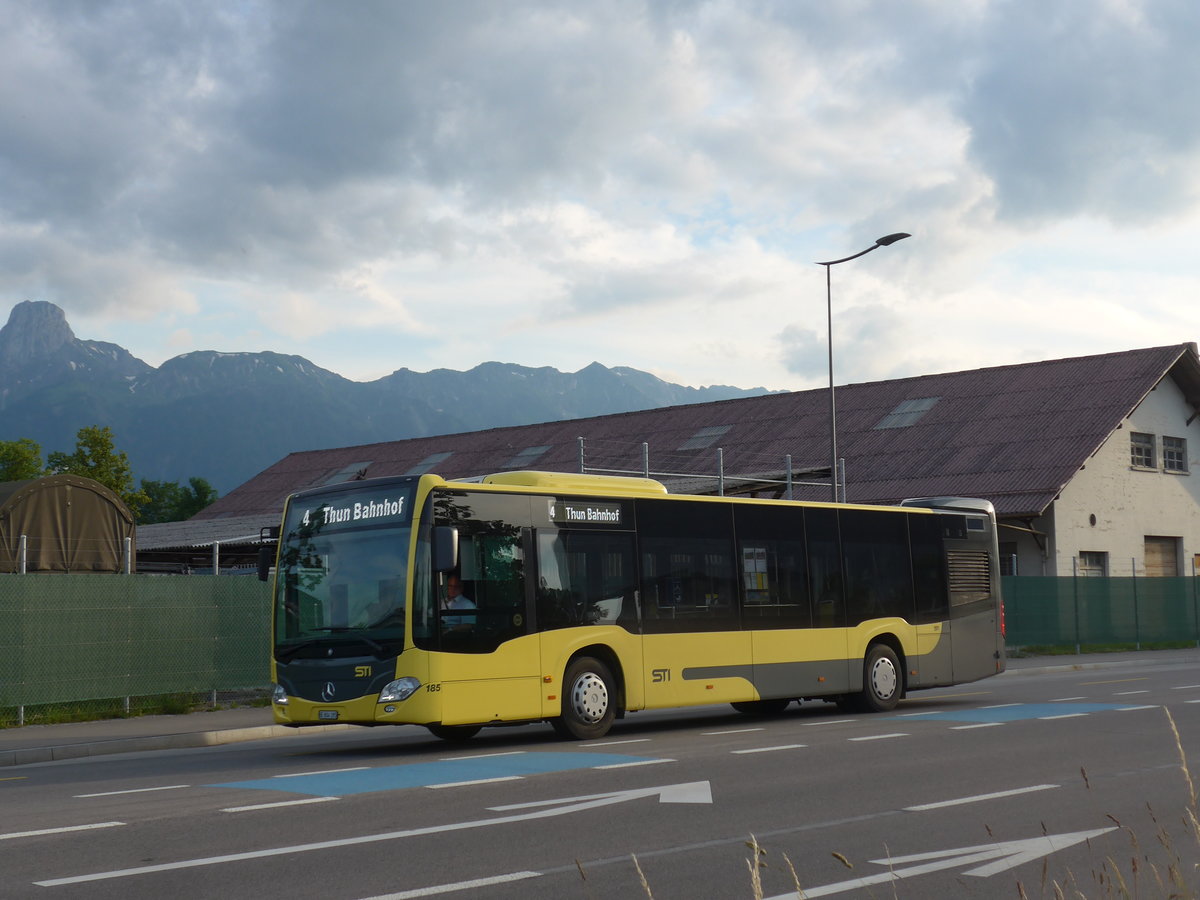 (206'768) - STI Thun - Nr. 185/BE 804'185 - Mercedes am 23. Juni 2019 in Thun, Kleine Allmend