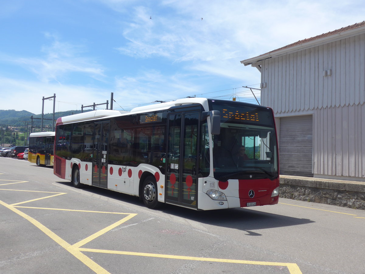 (206'798) - TPF Fribourg - Nr. 87/FR 300'406 - Mercedes am 24. Juni 2019 beim Bahnhof Palzieux