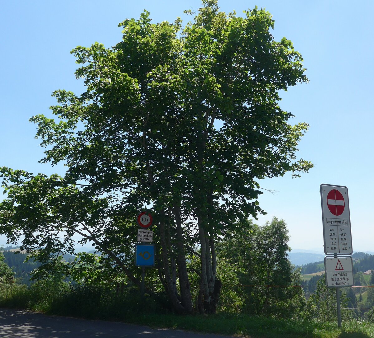 (206'889) - Bergpoststrasse und verschiedene Verkehrszeichen, die auf den Bus hinweisen am 30. Juni 2019 auf der Lderenalp