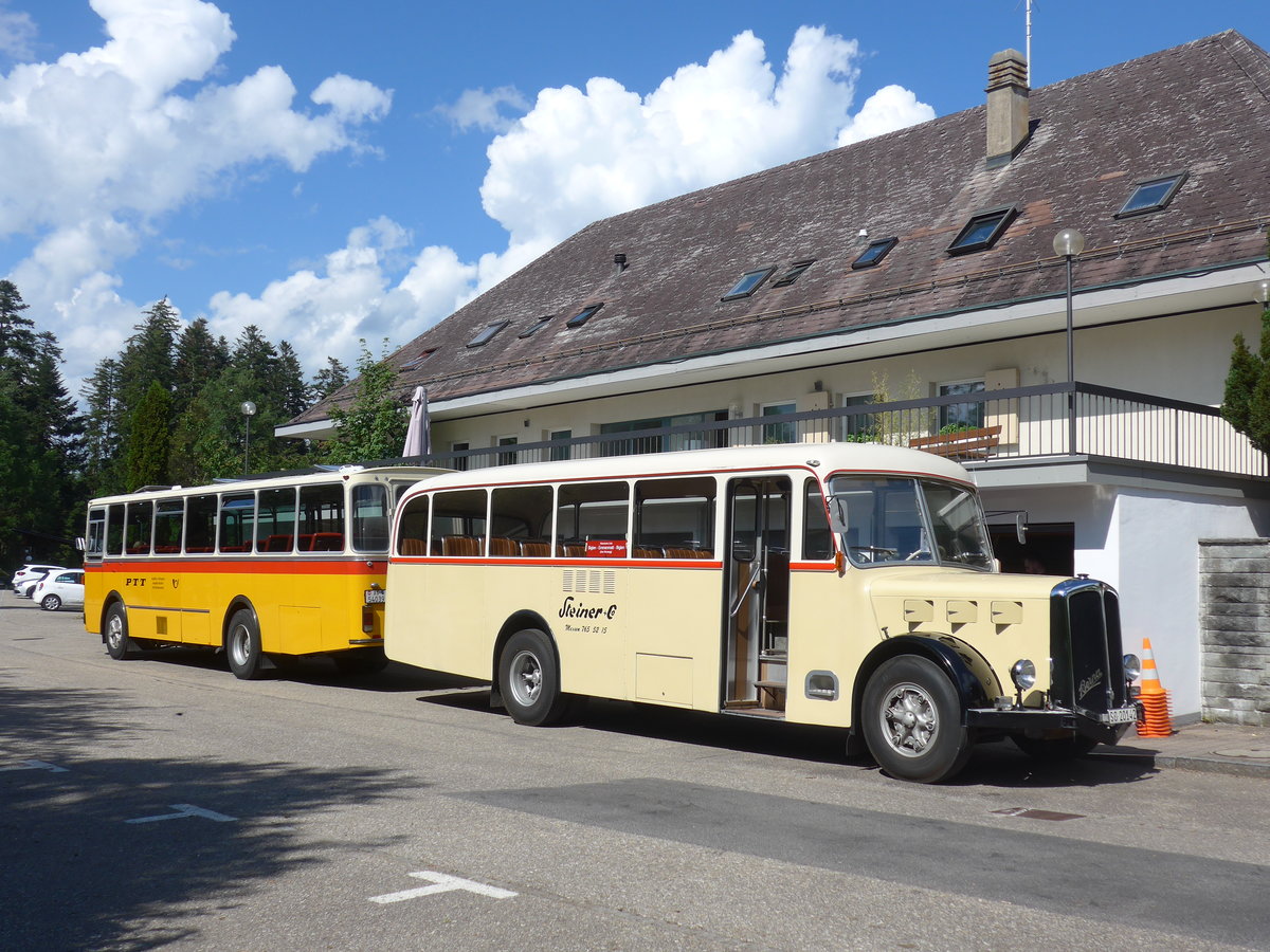 (207'532) - Steiner, Messen - SO 20'142 - Berna/Hess (ex Brtschi, Biberen) am 7. Juli 2019 in Emmenmatt, Moosegg