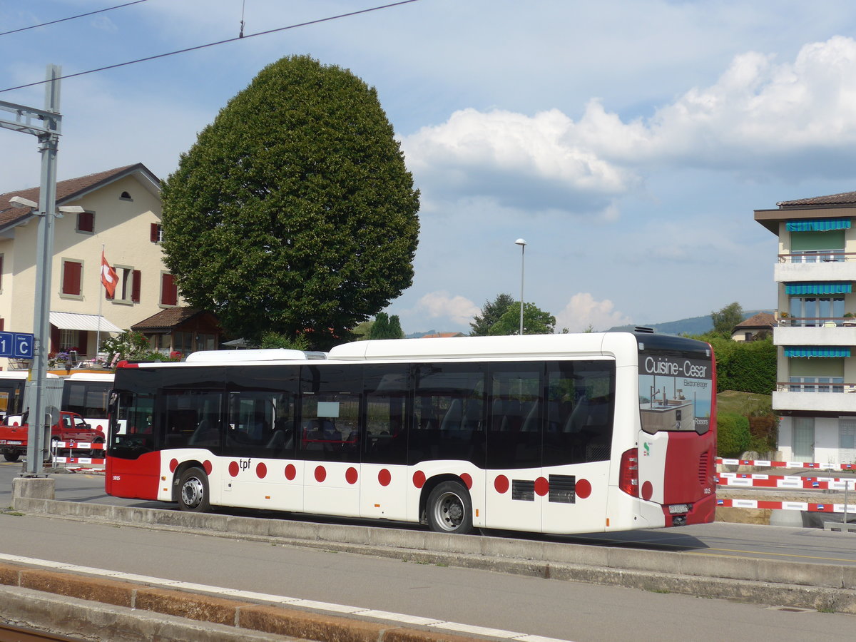 (208'138) - TPF Fribourg - Nr. 1015/FR 300'318 - Mercedes am 22. Juli 2019 beim Bahnhof Palzieux