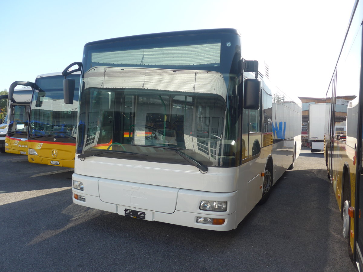 (209'697) - Interbus, Yverdon - Nr. 61 - MAN (ex transN, La Chaux-de-Fonds; ex TN Neuchtel) am 15. September 2019 in Kerzers, Interbus