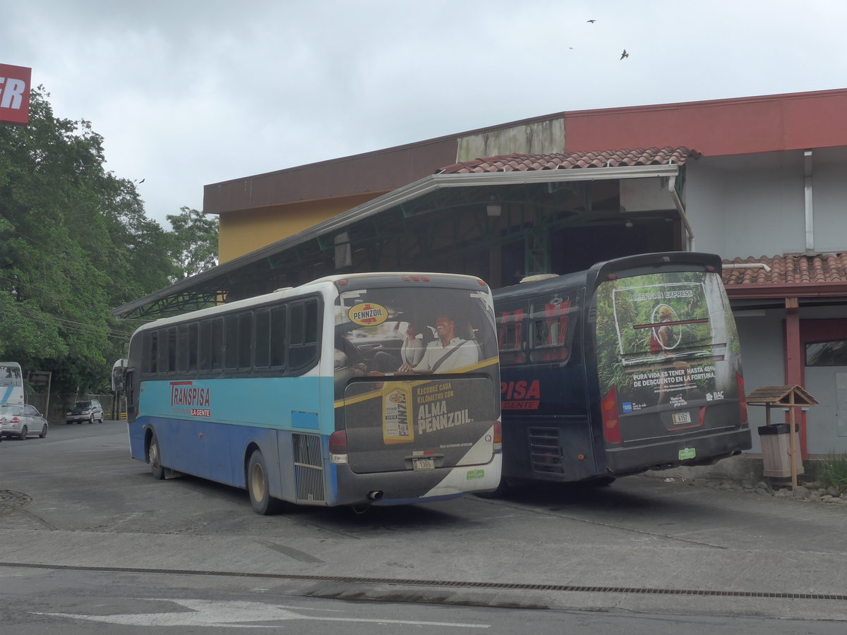 (211'495) - Transpisa, Quesada - 1365 - Marcopolo/Scania am 17. November 2019 in La Fortuna, Busstation