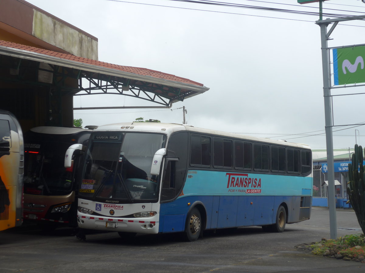 (211'496) - Transpisa, Quesada - 1365 - Marcopolo/Scania am 17. November 2019 in La Fortuna, Busstation