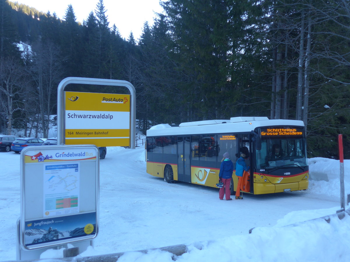(213'398) - PostAuto Bern - BE 403'166 - Scania/Hess (ex AVG Meiringen Nr. 66; ex Steiner, Messen) am 5. Januar 2020 auf der Schwarzwaldalp