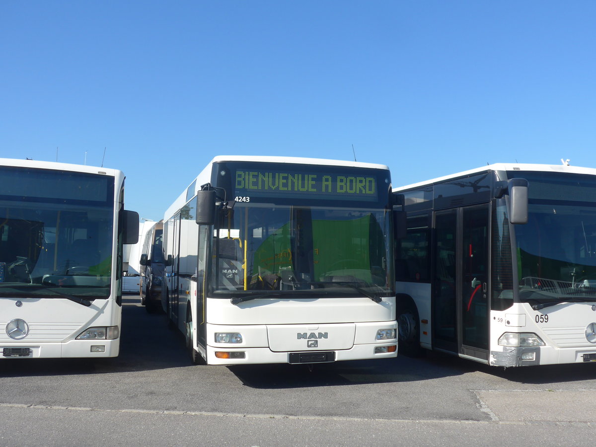 (217'476) - Interbus, Kerzers - MAN/Gppel (ex ARCC Aubonne; ex Rossier, Lussy) am 31. Mai 2020 in Kerzers, Interbus
