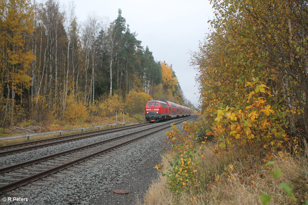218 414-1 zieht zwischen Marktleuthen und Neudes den RE2 RE4863 Hof - München 27.10.24