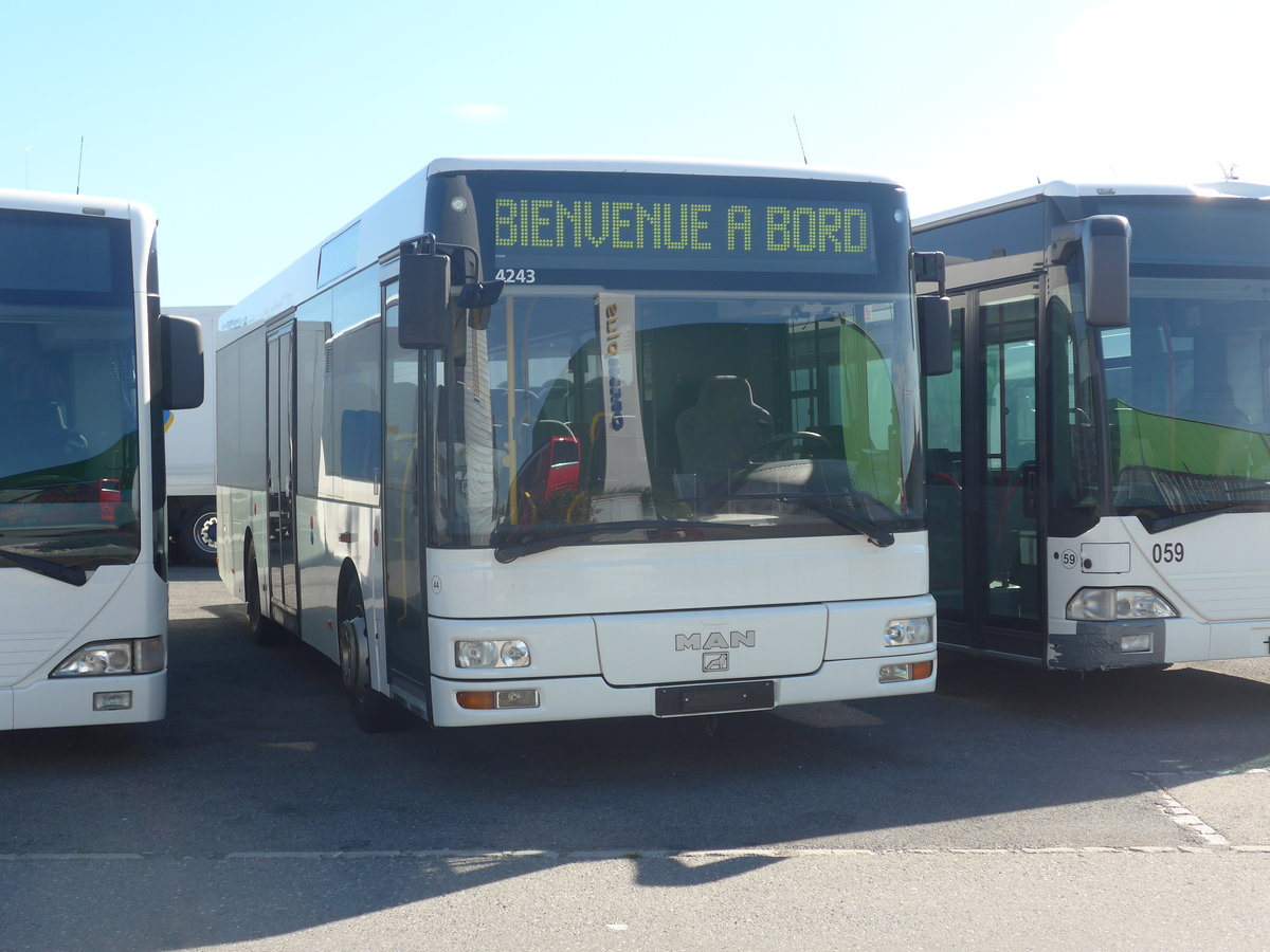 (218'409) - Interbus, Yverdon - Nr. 44 - MAN (ex ARCC Aubonne; ex Rossier, Lussy) am 4. Juli 2020 in Kerzers, Interbus