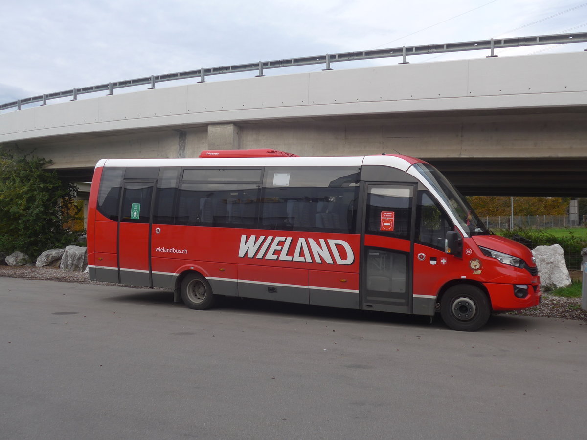 (222'695) - Wieland, Murten - Nr. 96/FR 300'596 - Iveco/Rosero am 25. Oktober 2020 in Kerzers, Interbus