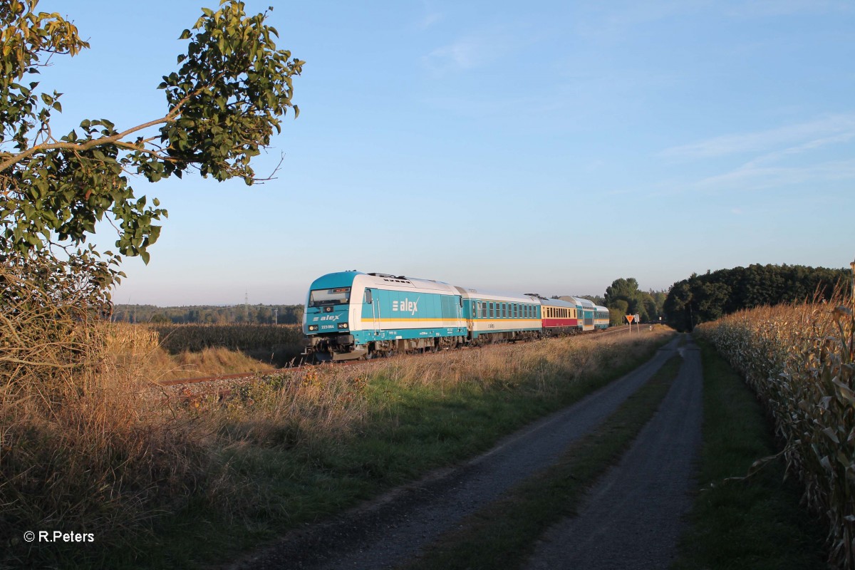 223 064 mit dem ALX84110 M�nchen - Hof bei Oberteich. 03.10.13