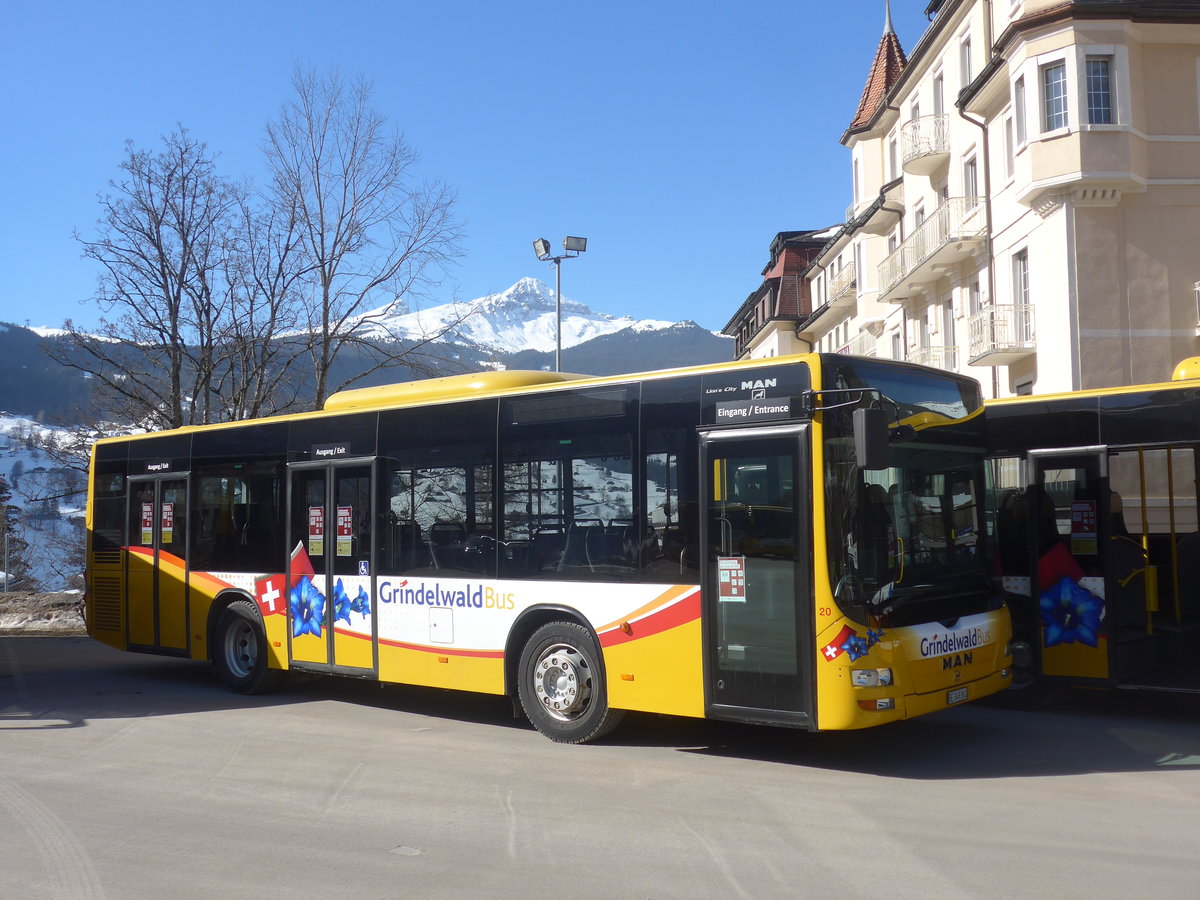 (223'840) - Grindelwaldbus, Grindelwald - Nr. 20/BE 349'361 - MAN/Gppel am 28. Februar 2021 beim Bahnhof Grindelwald